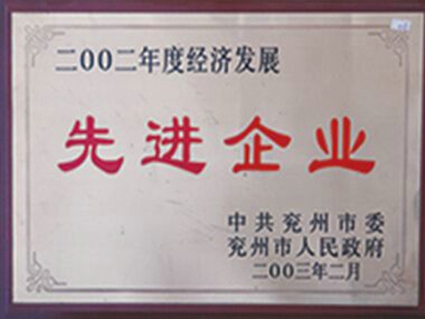 經(jīng)濟發(fā)展先進企業(yè)