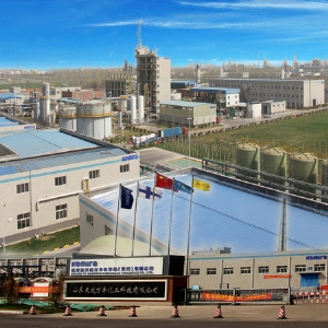 凱米拉天成萬(wàn)豐化學(xué)品(兗州)有限公司工程