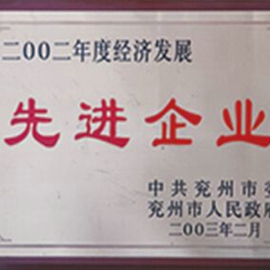 經(jīng)濟發(fā)展先進企業(yè)